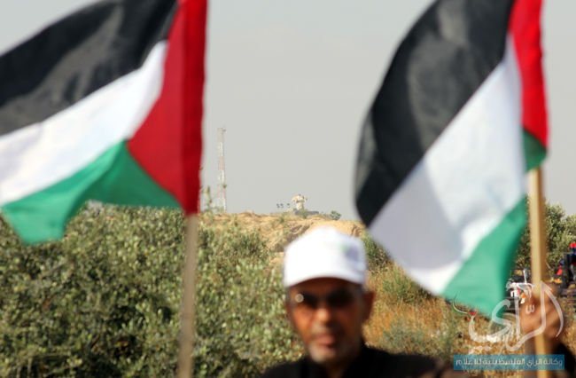 IMG_8590 copy