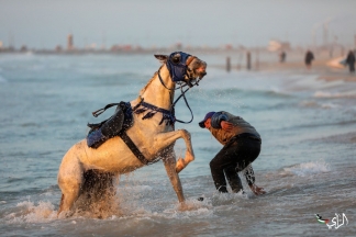مواطنون يستجمون على شاطئ بحر غزة في ظل أجواء المنخفض الجوي الذي يضرب القطاع.  تصوير: عطية درويش
