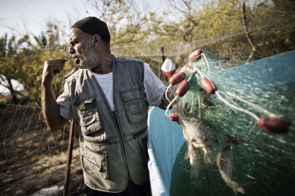 palestinian-gaza-fao-53928