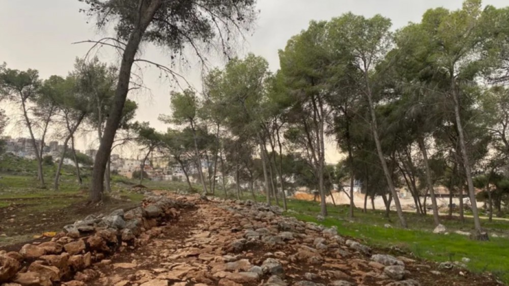 اكتشاف قرية كنعانية قرب قرية قانا في الجليل