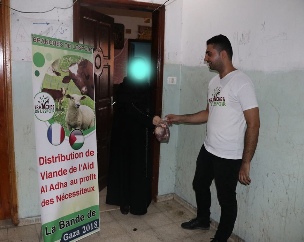  خدمات الطفولة 