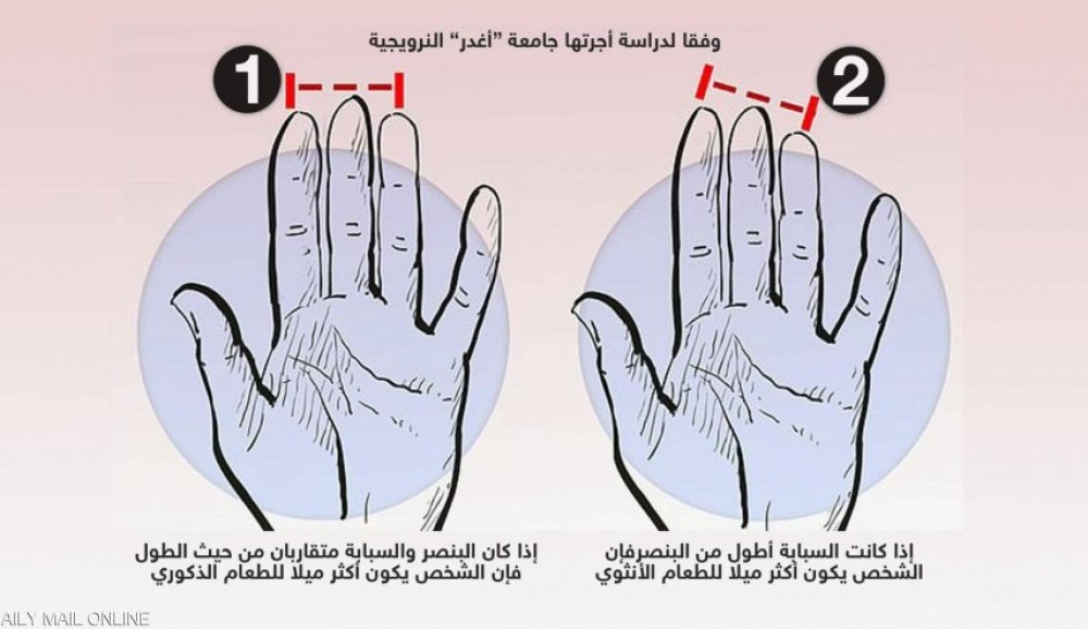 دراسة تكشف علاقة غريبة بين أصابع اليد وتفضيلات الطعام