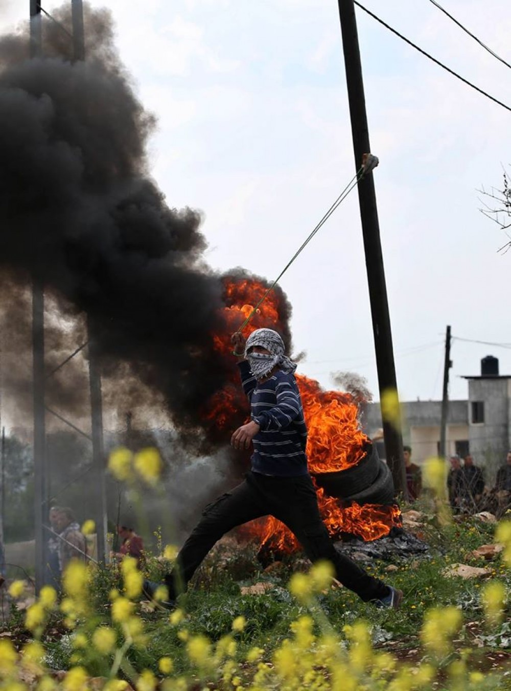 17492646_1366686533367841_1239235872452816191_o