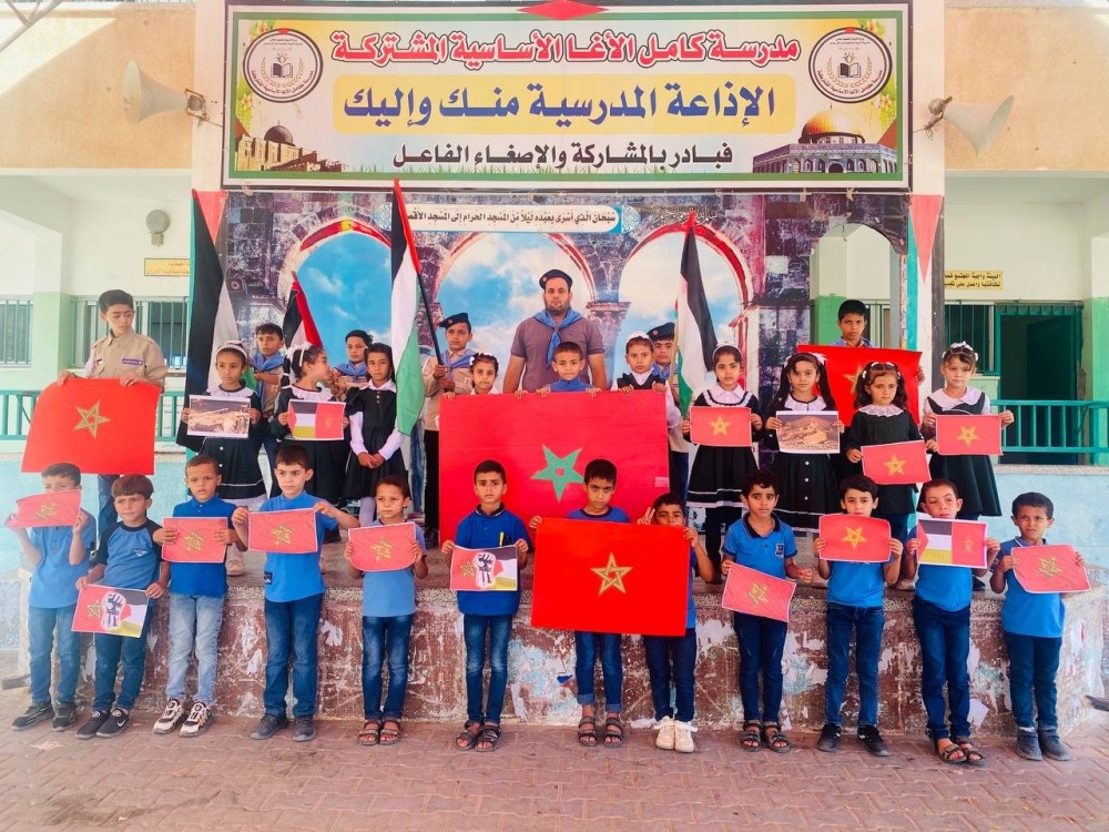 376789303_738507528320541_7309165386399487573_n