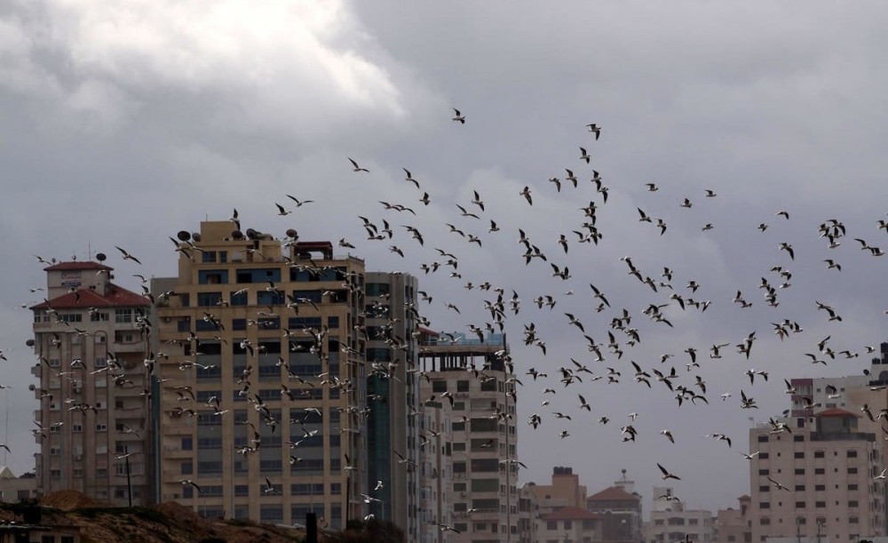 صورة أرشيفية 