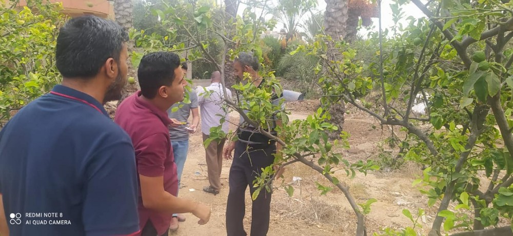 زراعة الوسطى تتابع عن كثب مزارعي البستنة الشجرية
