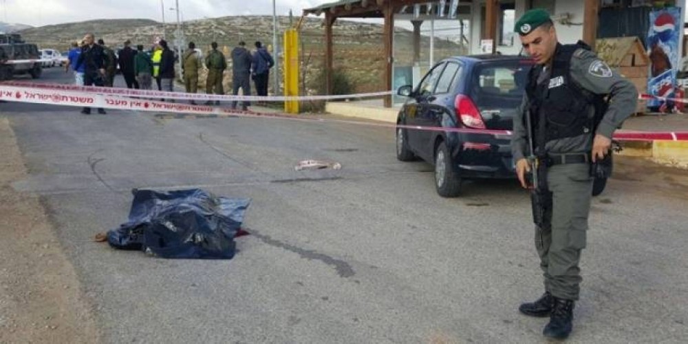 الطفلة أبو عيد بعد استشهادها