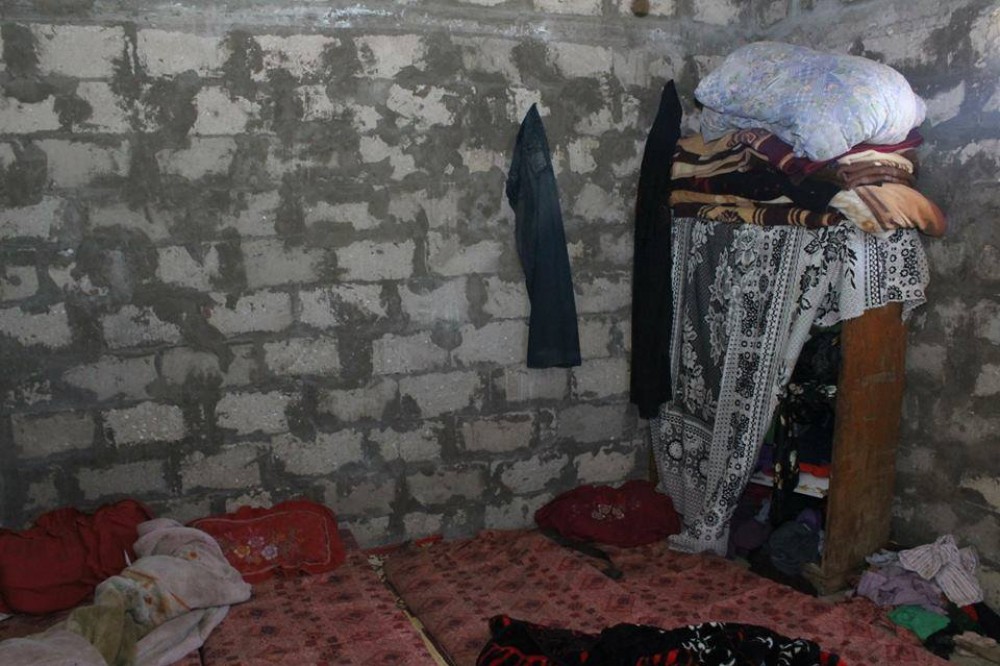 11738068_907352325988498_545649047765278866_n