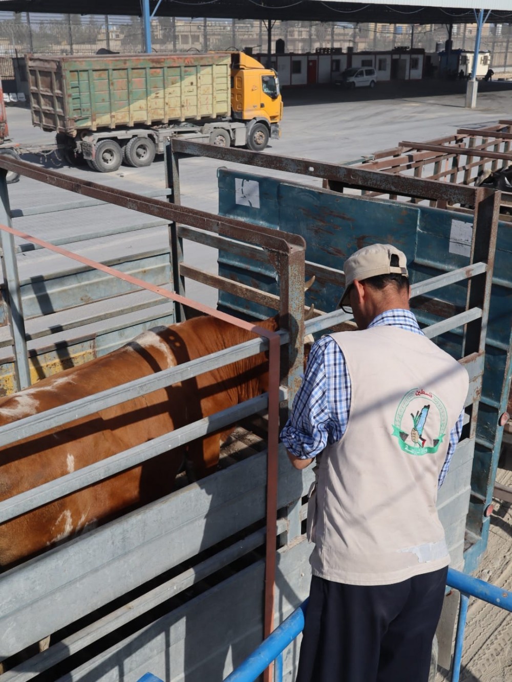 347249222_961778761641134_4537090520192531889_n