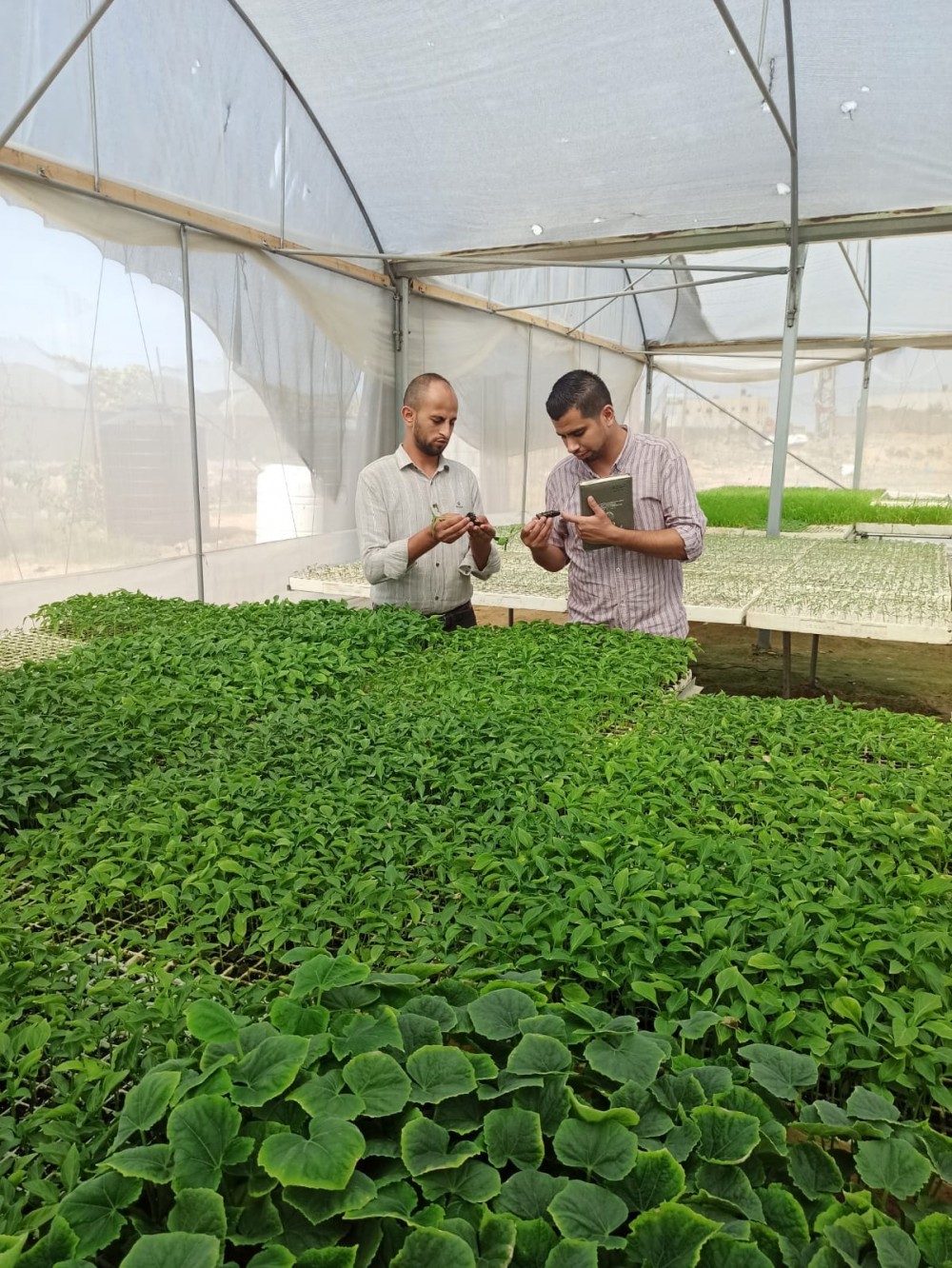 382737902_6675232109222819_5025152434608360255_n