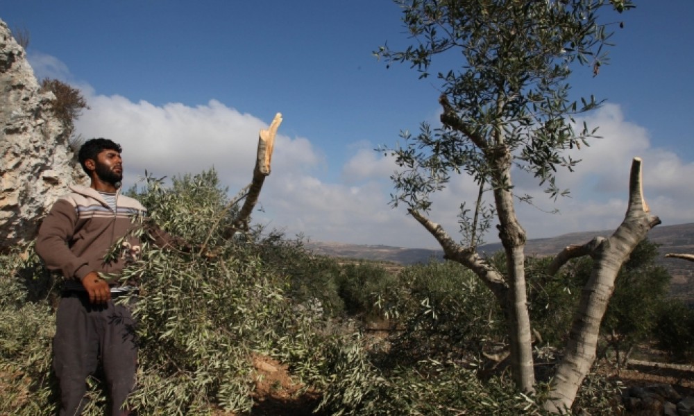 صورة أرشيفية 