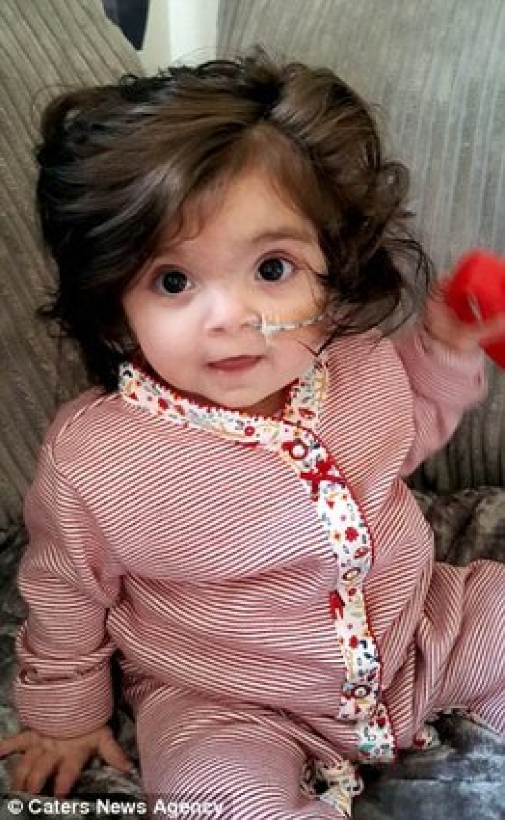 slide_517690_7288922_compressed