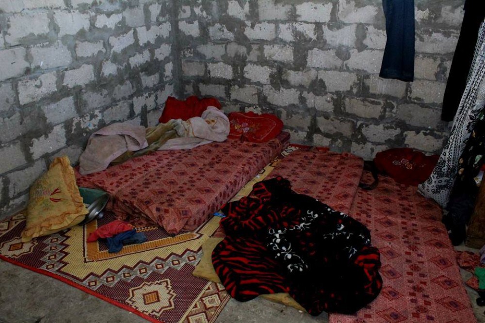 11745888_907352329321831_1604772464382534635_n