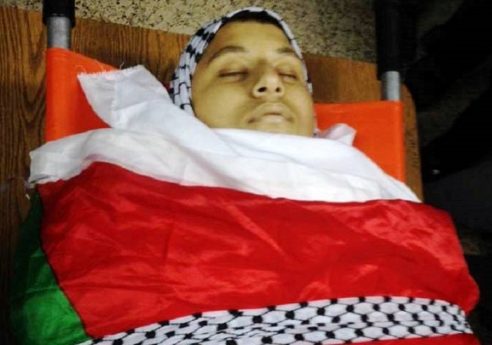 الشهيد الفتى محمد حلبية