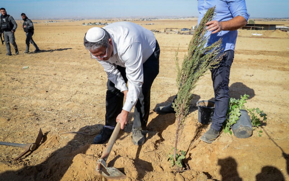 التهجير والتشجير في النقب