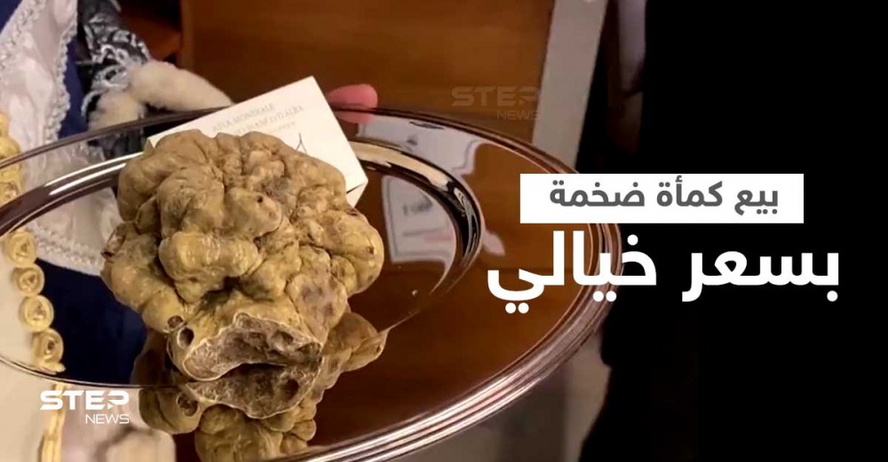 بيع كمأة تزن 2 رطل بسعر 118 ألف دولار في إيطاليا 