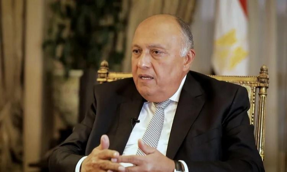 وزير الخارجية المصري