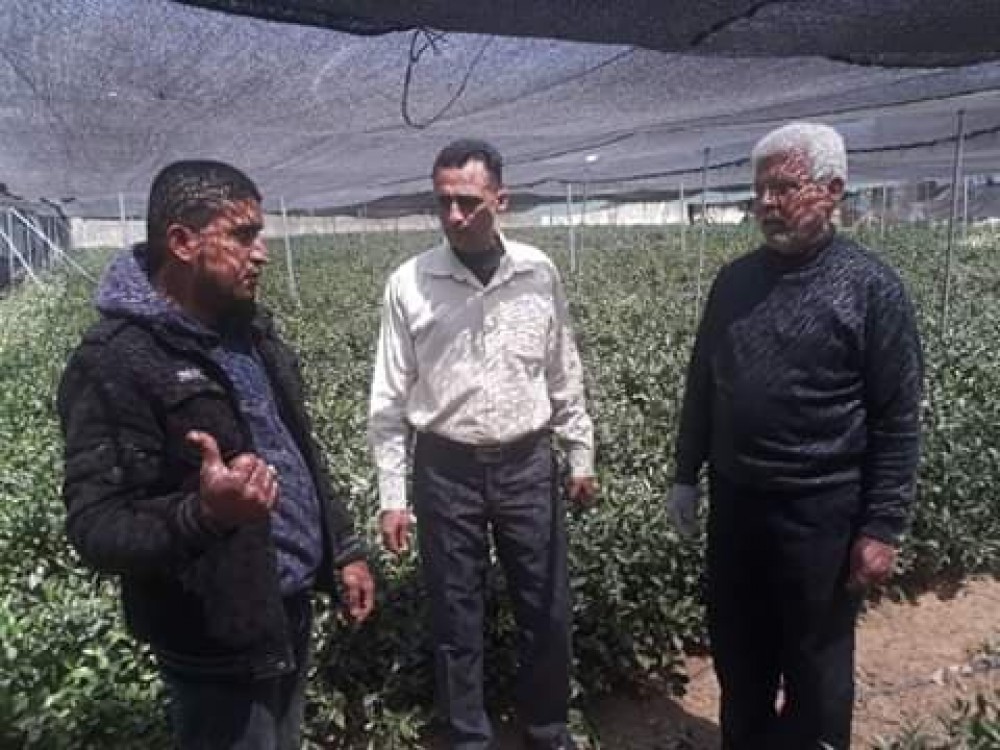 95919862_2942400989172635_6852229044952367104_n