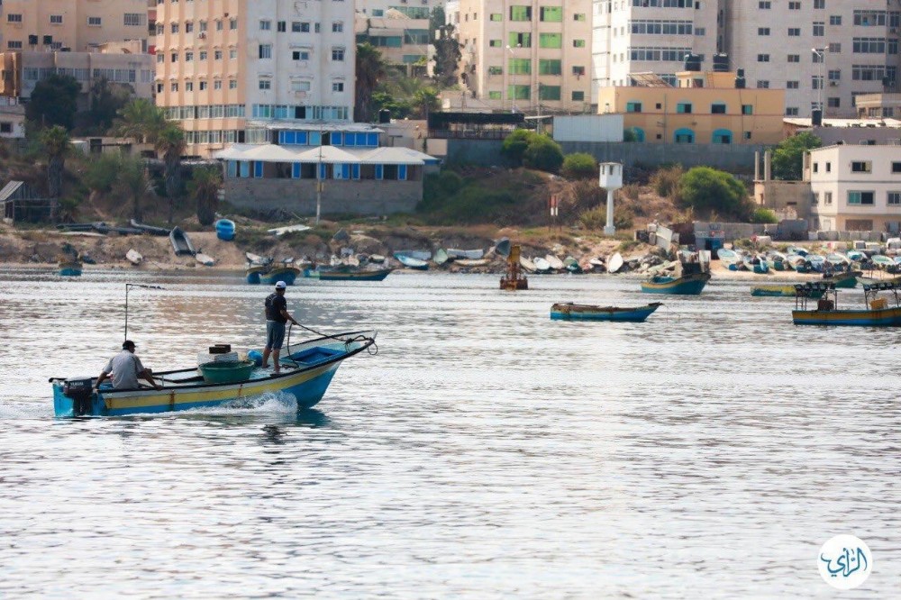 راي