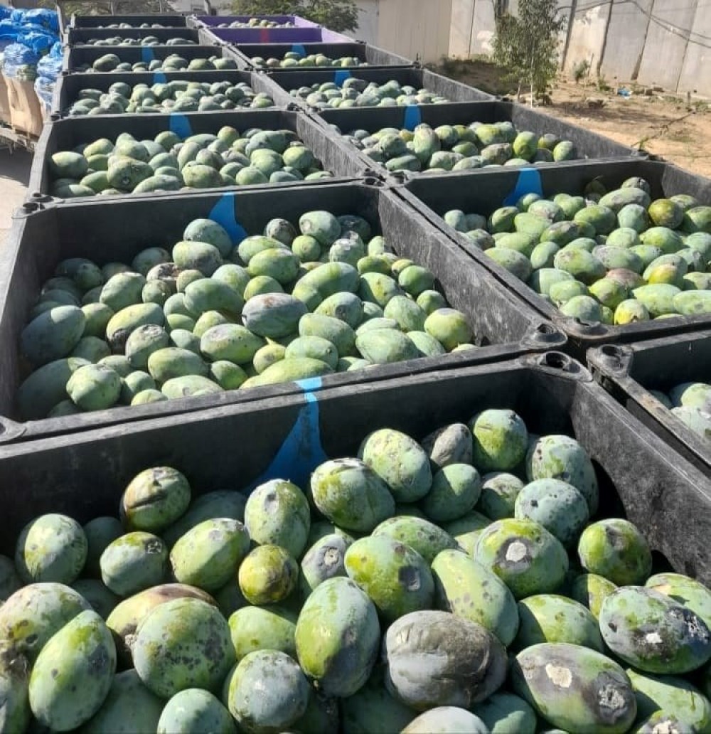 شرطة معبر 
