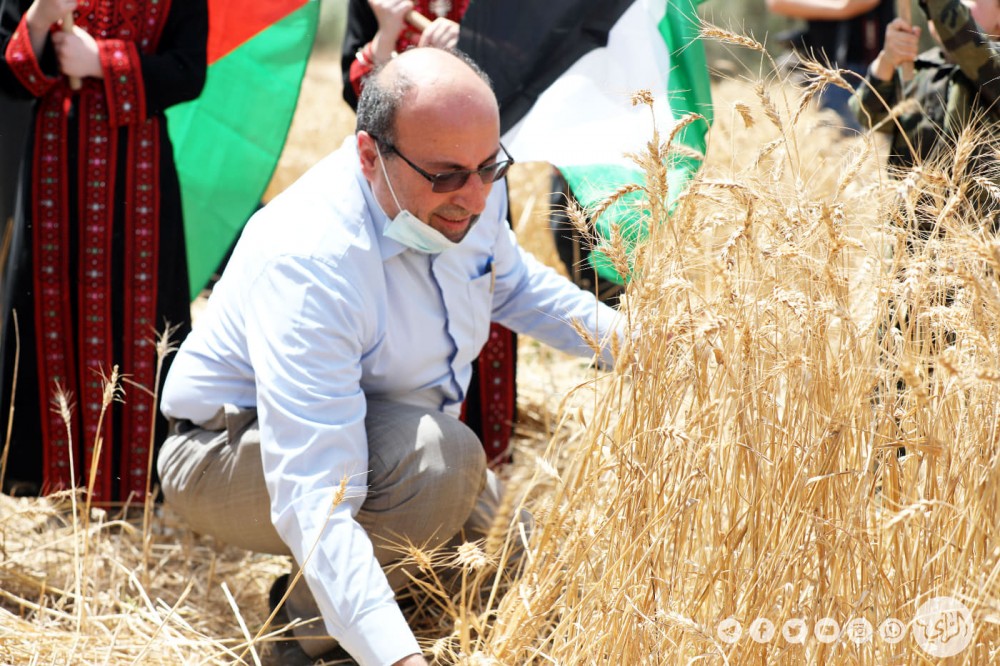 وكيل وزارة الزراعة إبراهيم القدرة خلال حصاد القمح 
