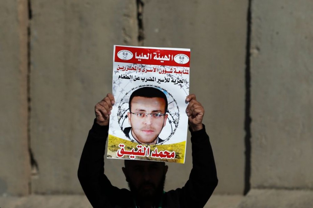 محمد القيق