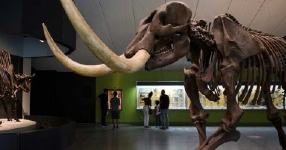 اكتشاف على الشاطئ.. 