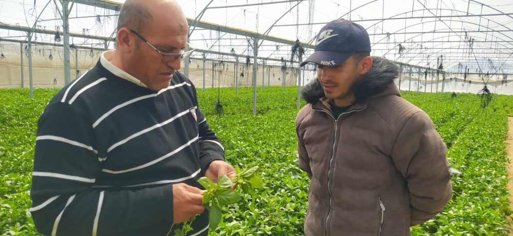 339258547_587222153347705_1244028021891278752_n