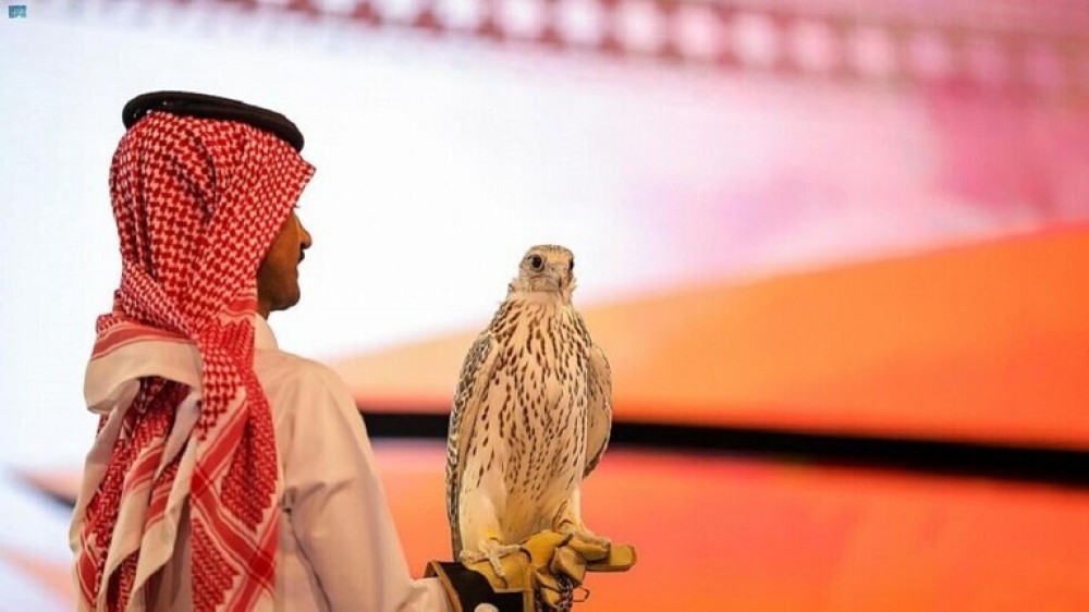 بيع صقر بالسعودية بنصف مليون دولار! 