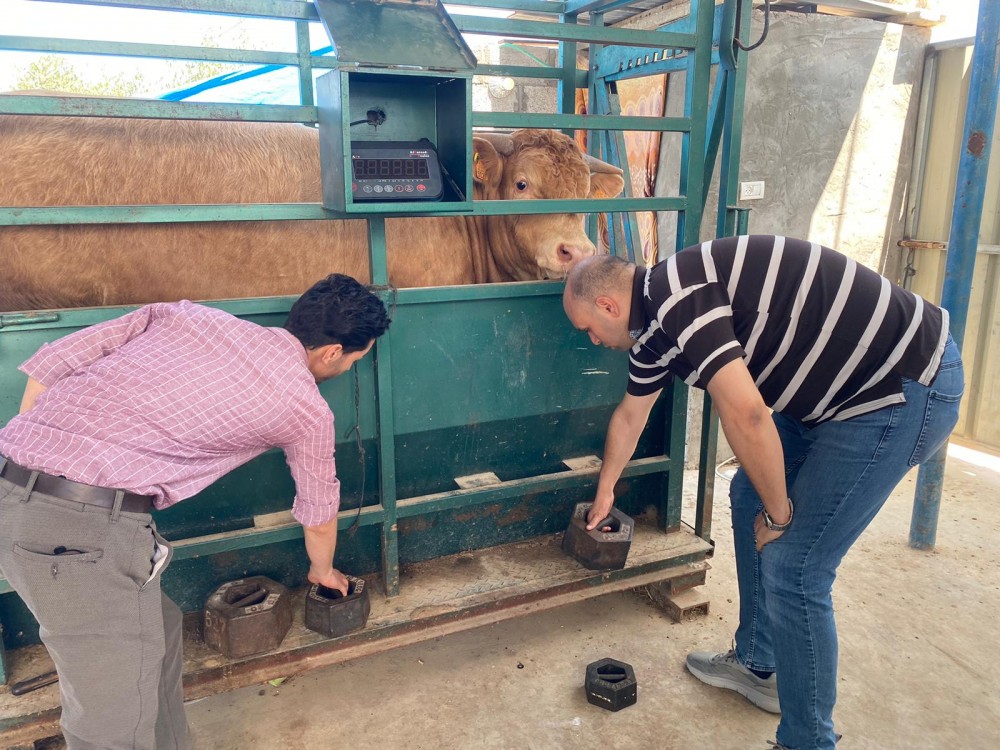 355314880_640774308083783_6414438339739335478_n