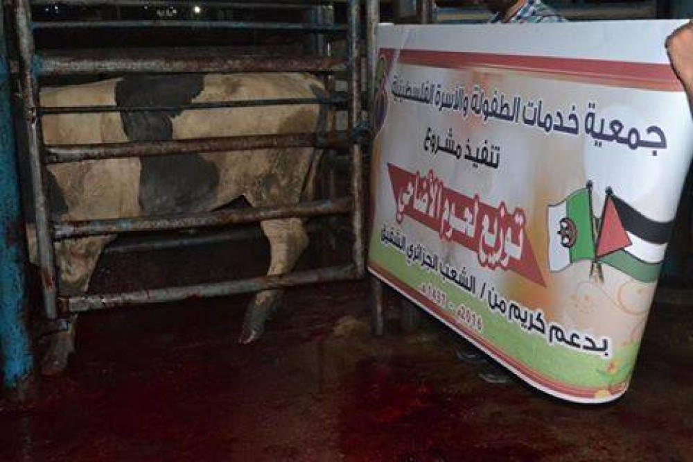 خدمات الطفولة نفذت مشروع 