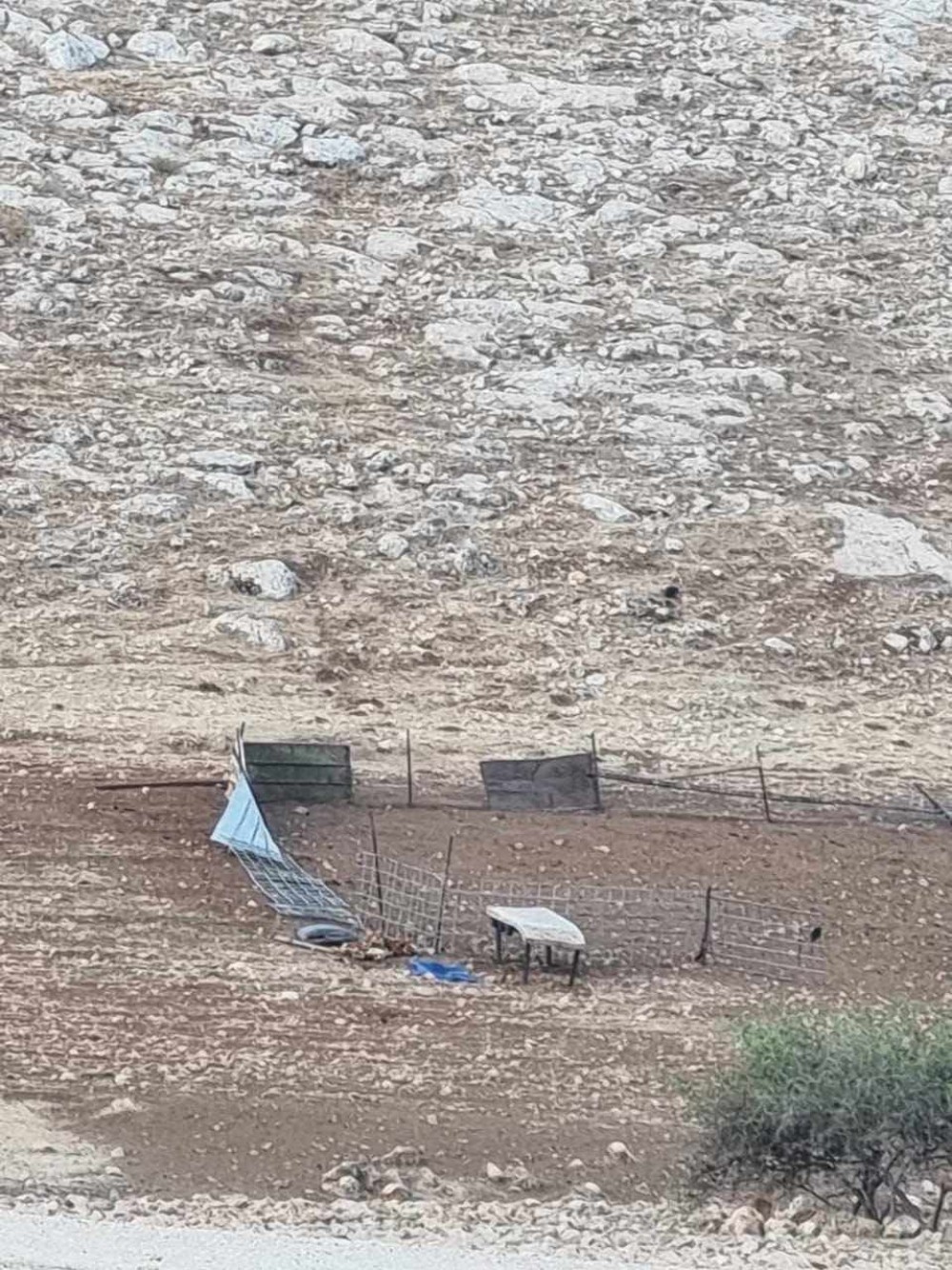 مستوطنون يهاجمون خلة مكحول في الأغوار الشمالية