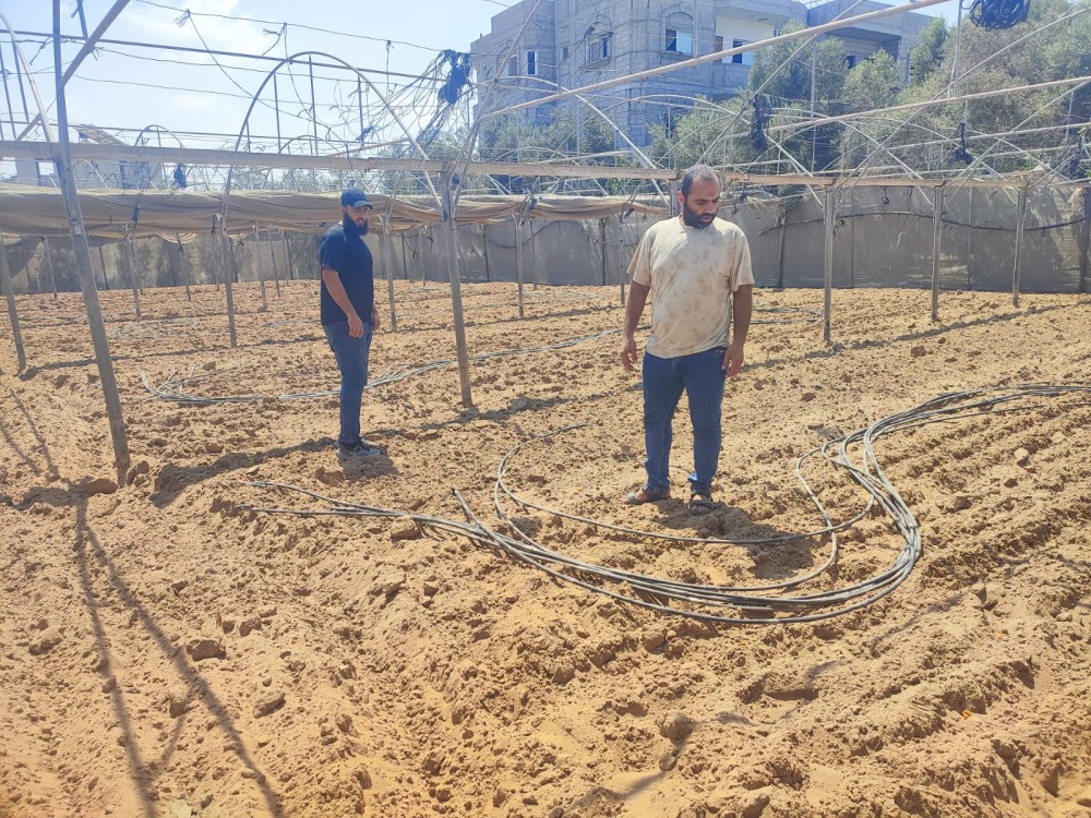  زراعة الوسطى ترصد تأخراً ملحوظاً في زراعة الدفيئات الزراعية