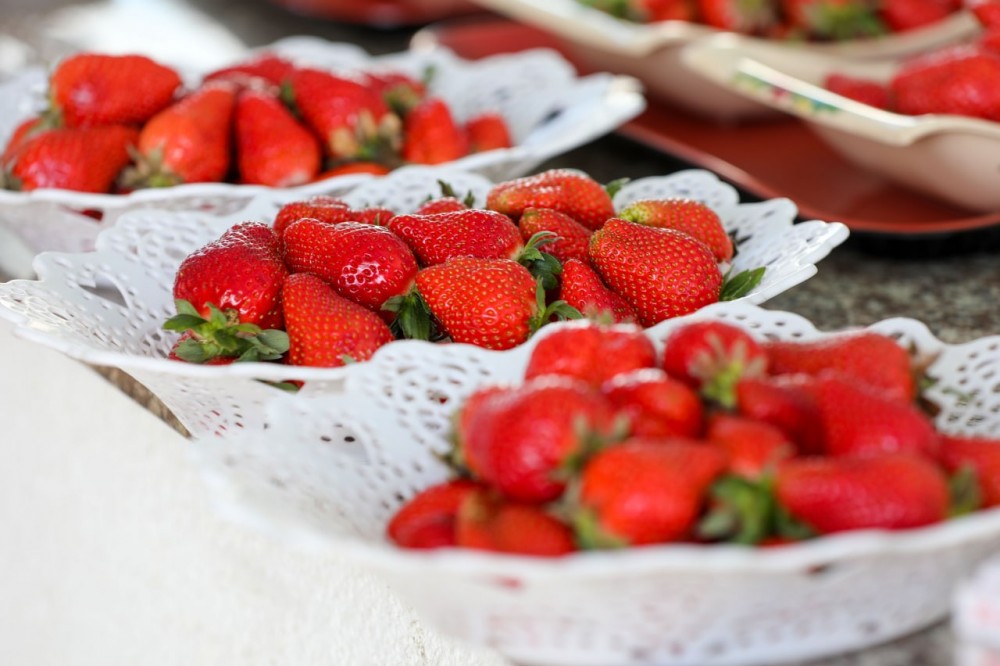 ce09ef35-fcc9-4b57-a0ff-830cebf1d39c