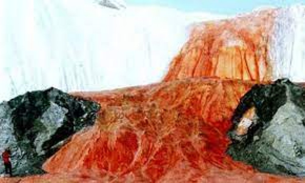 شلالات الدم.. الحقيقة حول الظاهرة الأكثر غموضًا في القارة القطبية