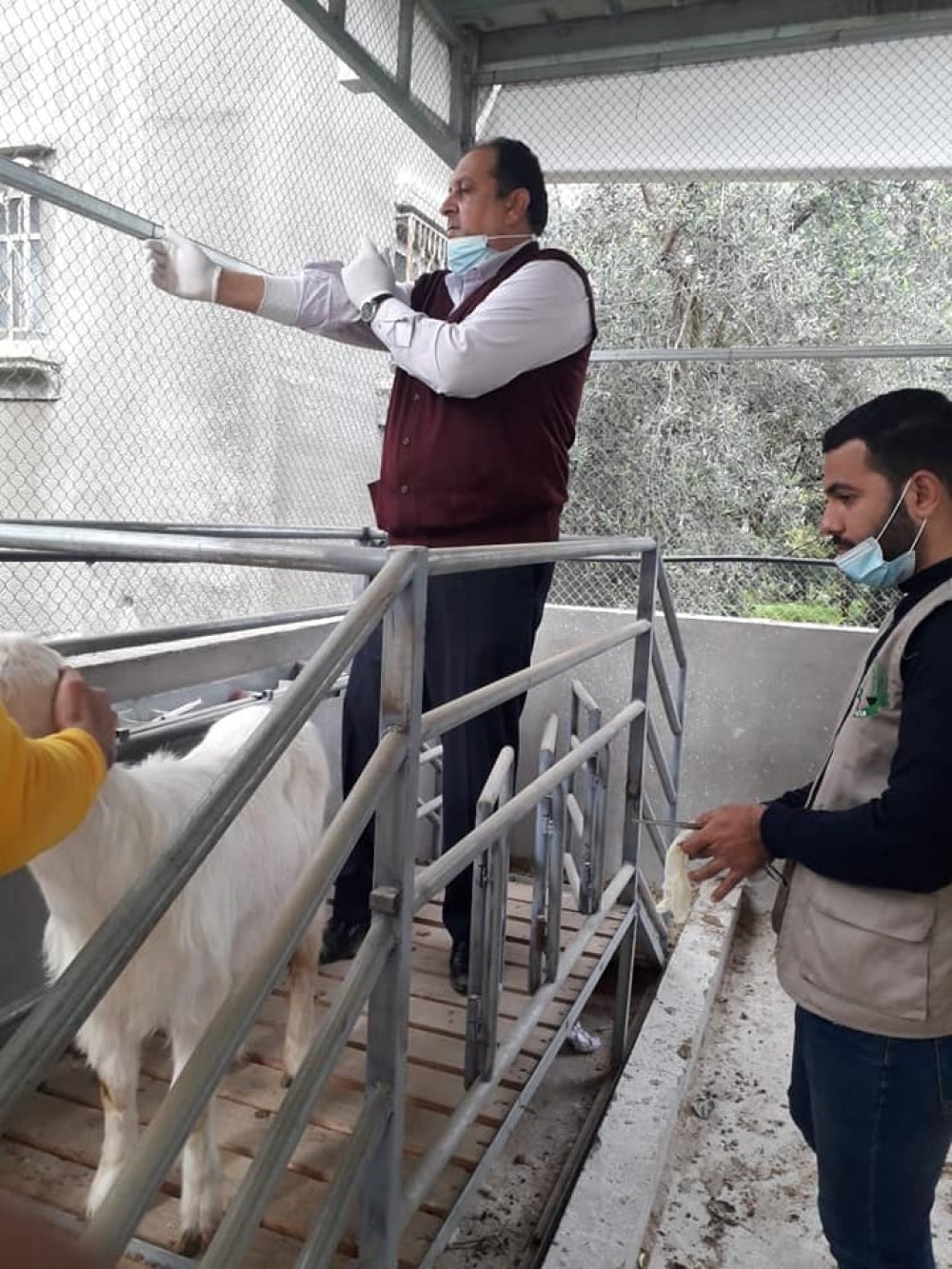 136183372_3663526640393396_8013187841701123045_n