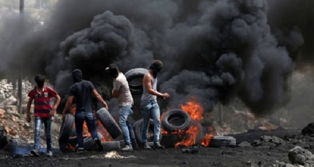 تقرير حامد