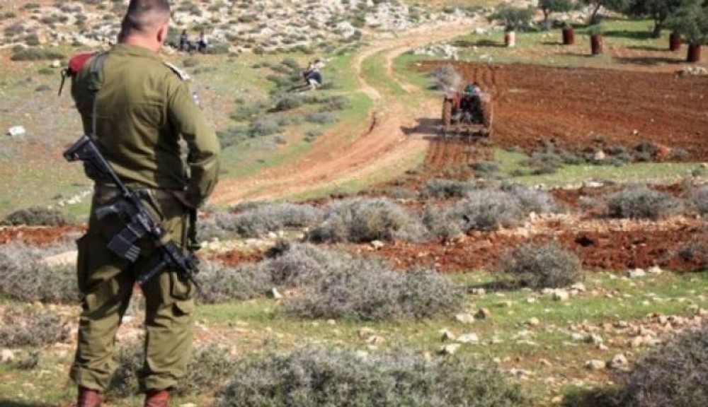 صورة أرشيفية