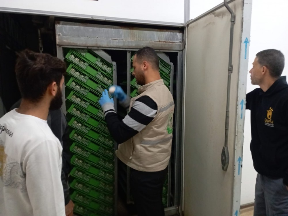 الزراعة تنفذ زيارات رقابية لفقاسات ومفرخات الدجاج
