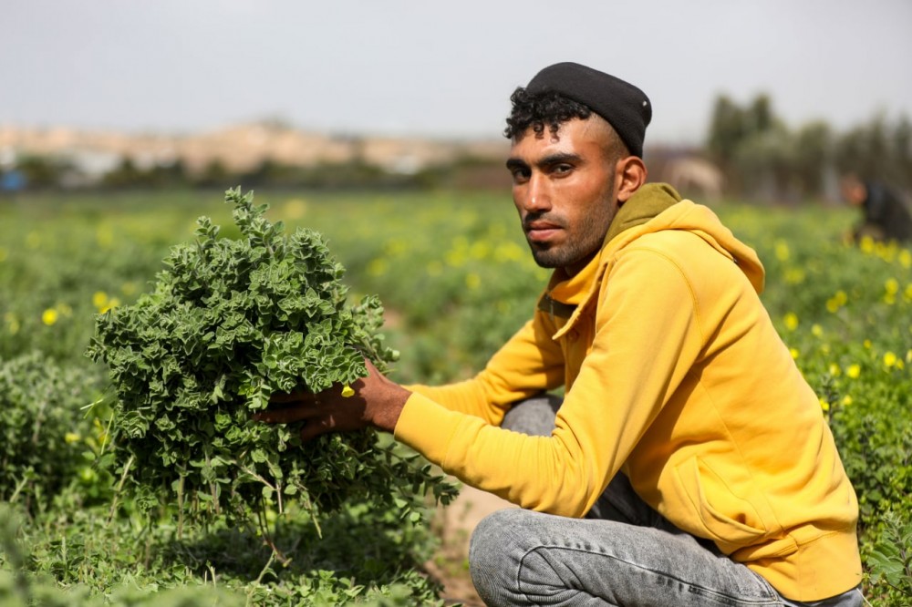 cb6baab3-fea7-4df3-b371-b027c5197ac3