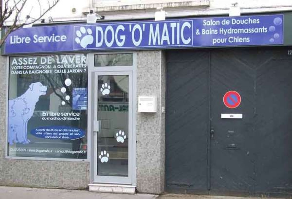 Dog-Washing-Machines