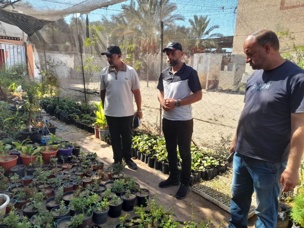 الزراعة تتابع واقع المشاتل في غزة وتبحث سبل دعمها وتعزيز التعافي الزراعي