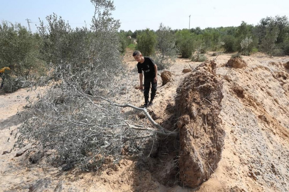 347120137_933888237832213_596633912405342946_n