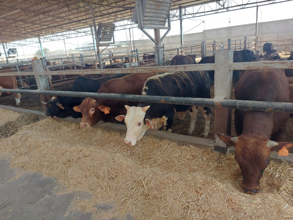 347398743_1948471848824997_1784730887949718891_n