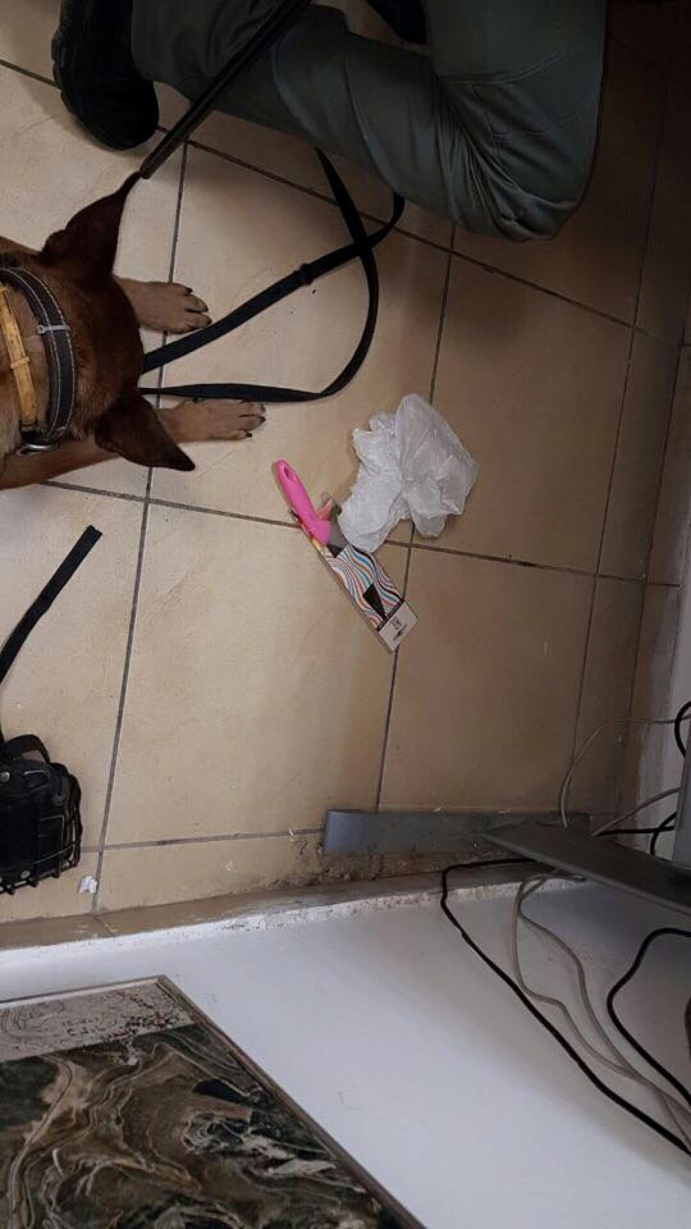 السكين