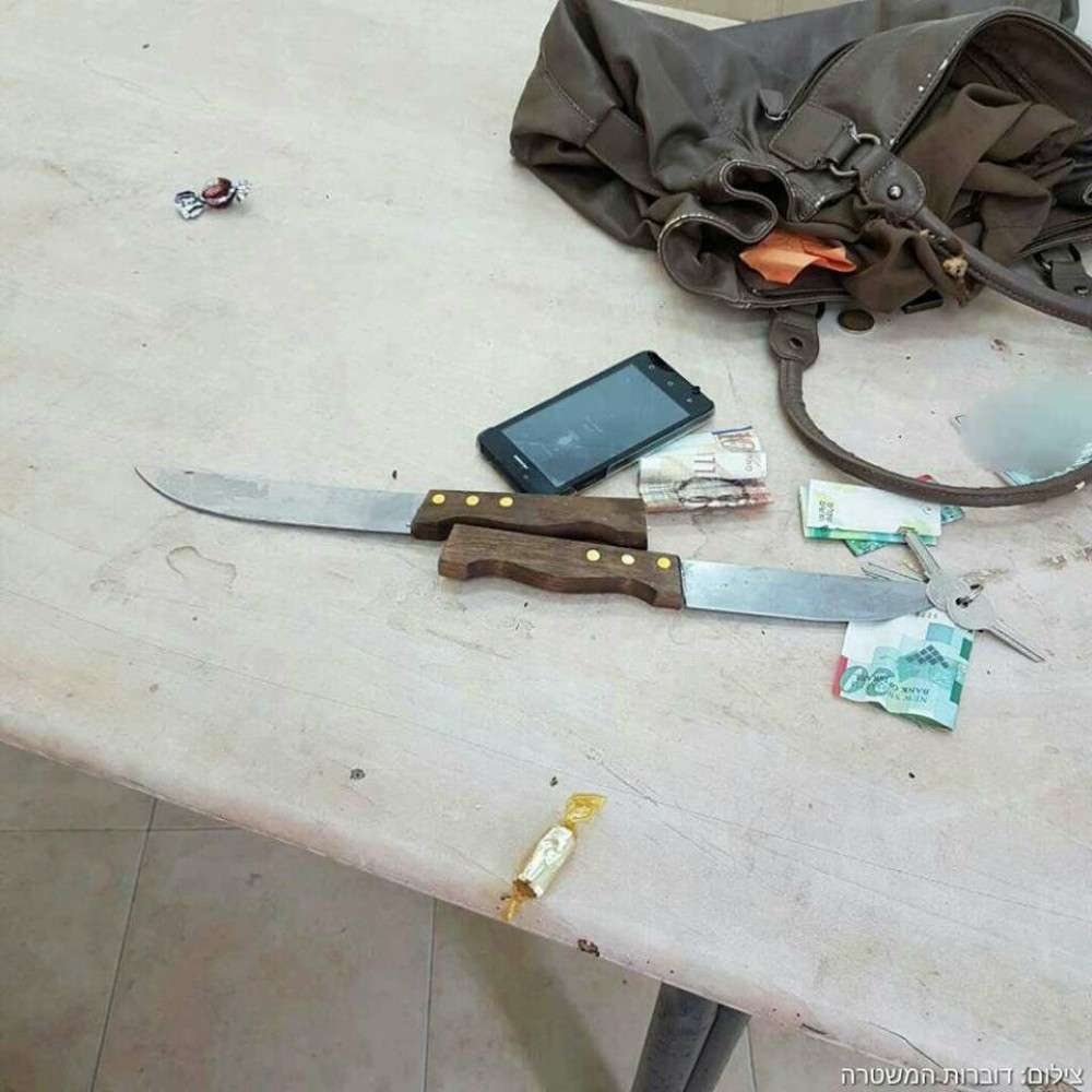 صورة نشرها الاحتلال لما كانت تحمله الفتاة