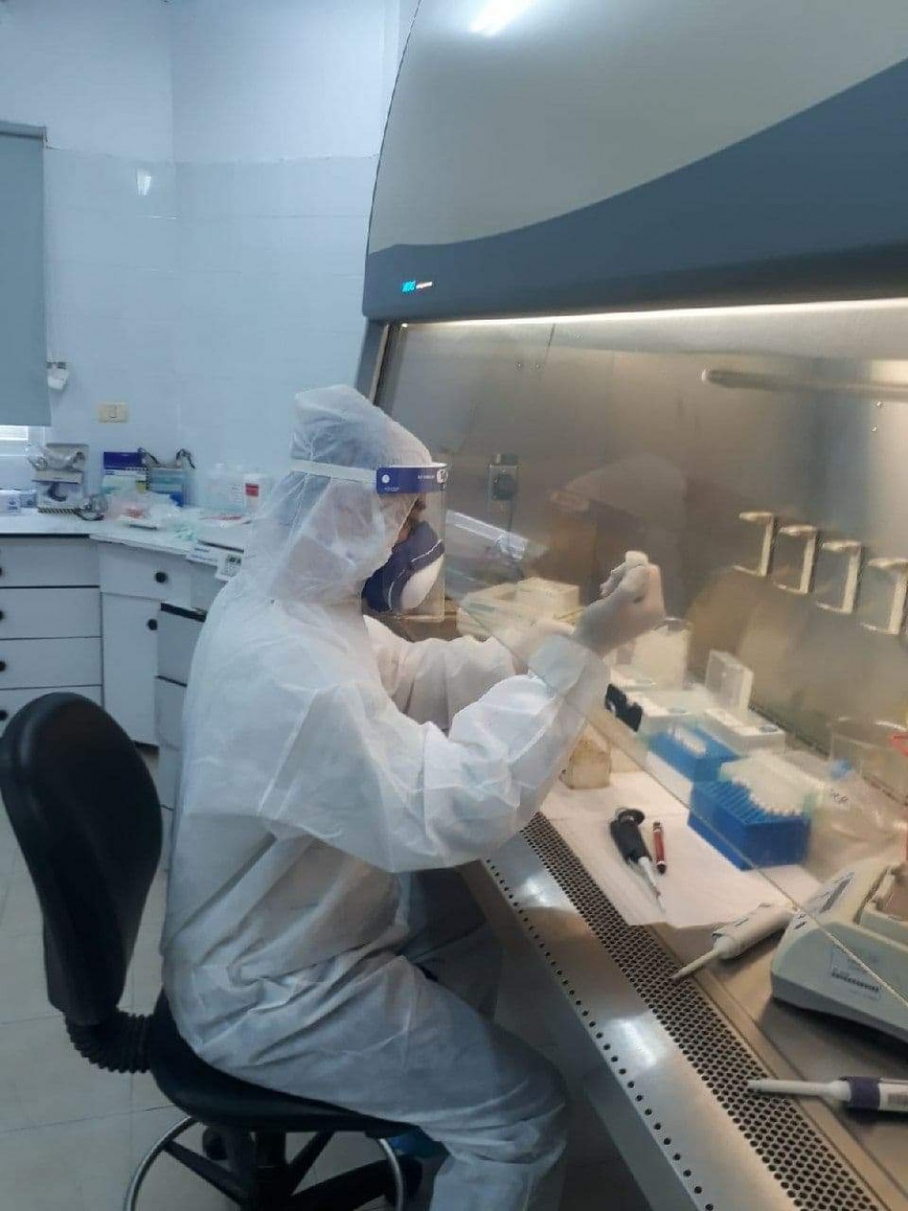 في غزة ... متى يتم اجراء تحليل الخلو من مرض كورونا ؟