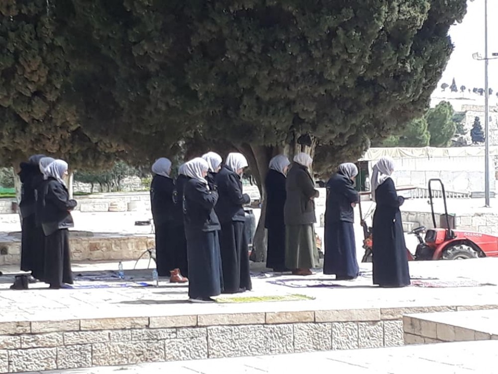 90233503_502114097096491_5077263720309063680_n