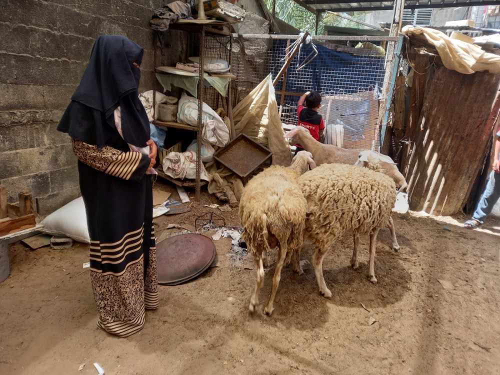 التنمية الاجتماعية تنفذ سلسلة زيارات لمشاريع التمكين الاقتصادي برفح 