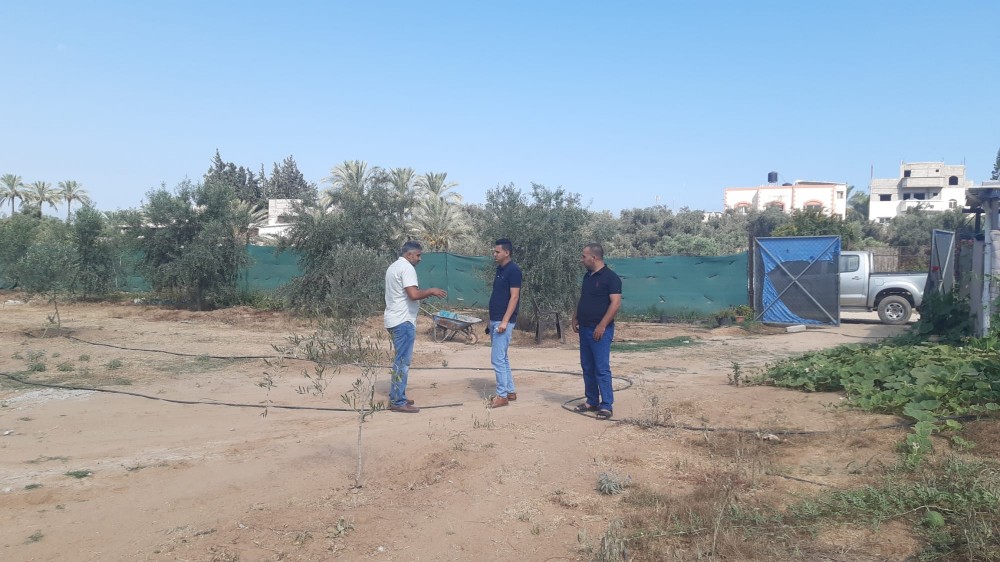  الزراعة تقدم خدمات إرشادية هامة لمزارعي 